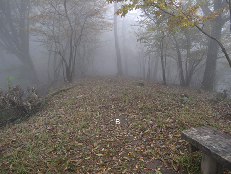 20151021hike (206)